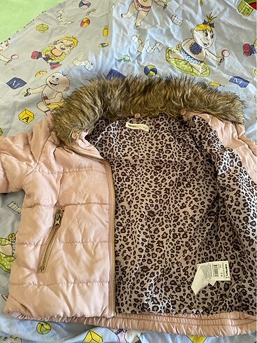 Coton mont