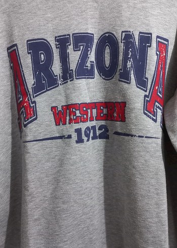 Gri Kadın Baskılı Uzun Kollu Sweatshirt - Görsel 2