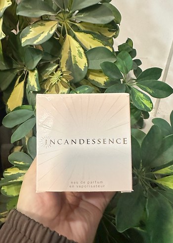 Avon Incandessence Kadın Parfümü - Görsel 2