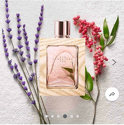 Sıgnature EDP