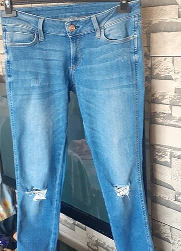 Denimm Kot