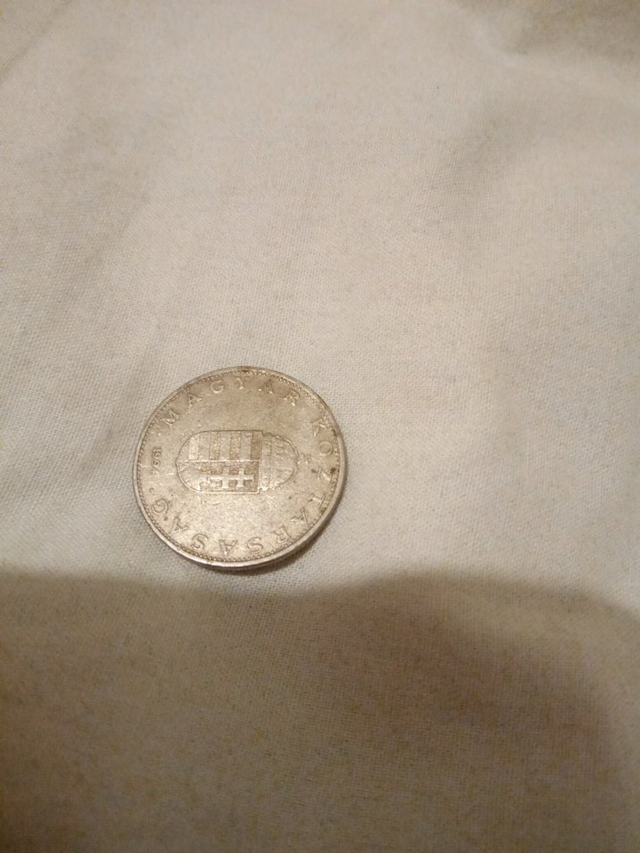 Vintage Erkek Rozet Bej Gri Tonlarında - Görsel 2