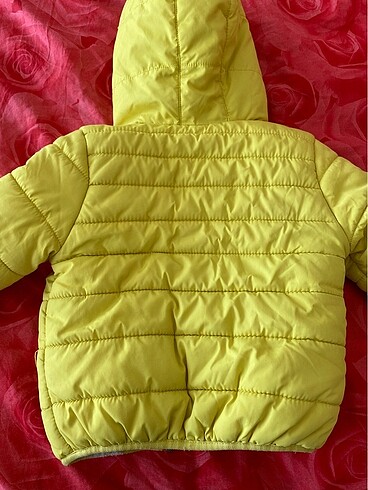 12-18 Ay Beden sarı Renk Lcw mont