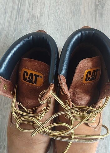 Cat Tertemiz bot