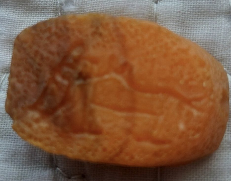 vintage bir ürün - Görsel 3