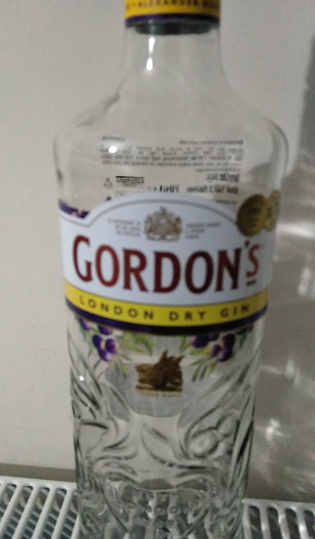 Gordon's London Dry Gin koleksiyonluk şişe - Görsel 3