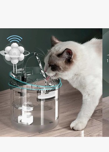 Kedi su pınarı - Görsel 2