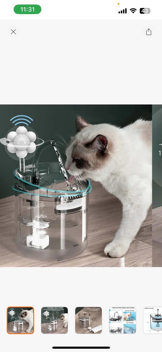 Kedi su pınarı - Görsel 2