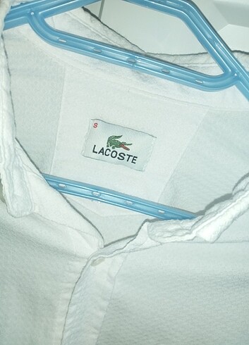 Lacoste Erkek gömlek