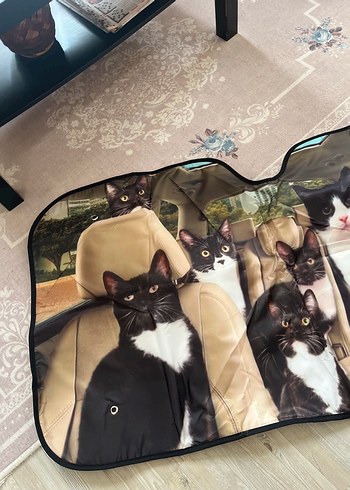 Temu sifir kedi baskili 3D araç cam güneşliği - Görsel 3