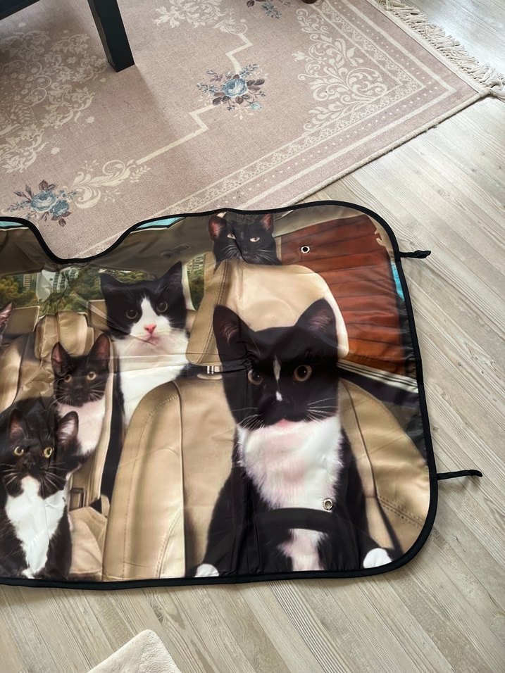 Temu sifir kedi baskili 3D araç cam güneşliği - Görsel 2