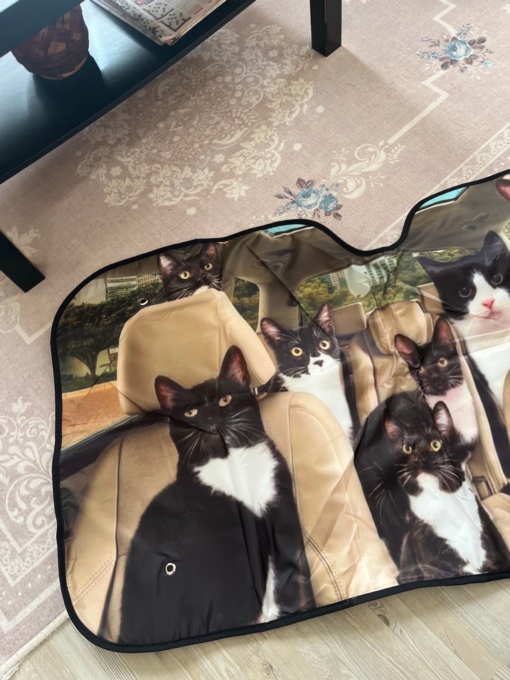 Temu sifir kedi baskili 3D araç cam güneşliği - Görsel 3