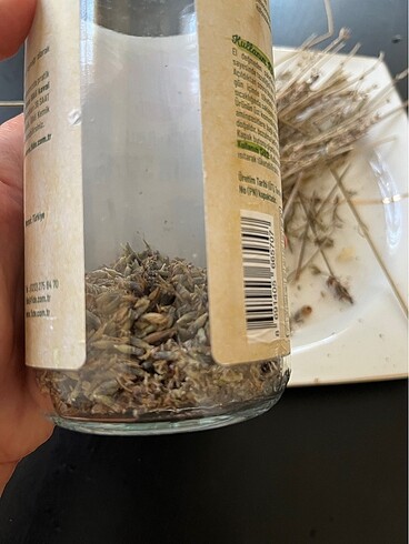 GÖKÇEADA Lavanta yağımız hazırlanıyor - Görsel 6