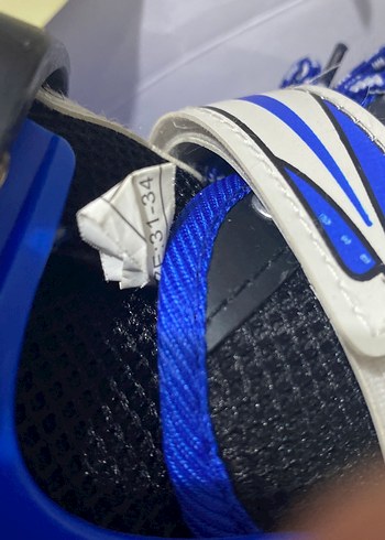 Mavi Yılan Desenli Erkek Kaykay Patenleri - Görsel 8