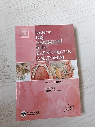 BAŞ BOYUN ANATOMISI