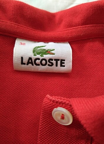 s Beden Kırmızı polo yaka Lacoste tshirt 