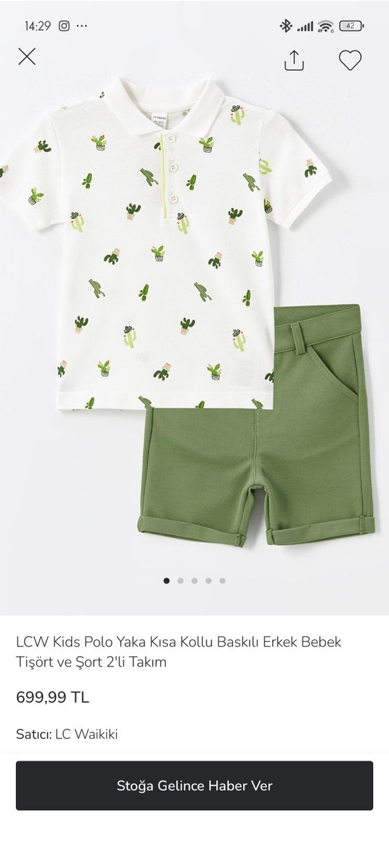 Bebek Erkek Kaktüs Desenli Yeşil Takım - Görsel 5