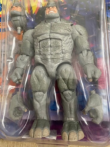  Beden Rhino