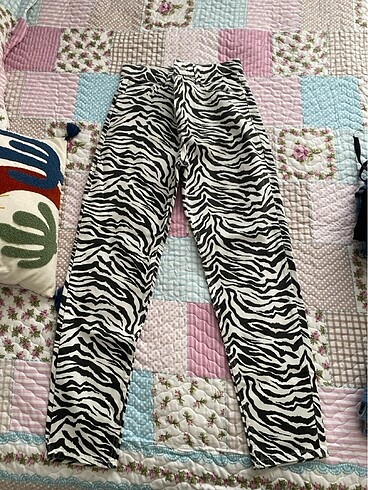 Zebra kot