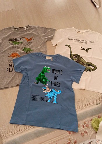 Erkek Çocuk Kısa Kollu Dinozor Baskılı Tişört