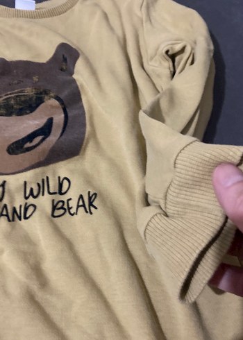 Kahverengi Baskılı Erkek Sweatshirt - Görsel 2