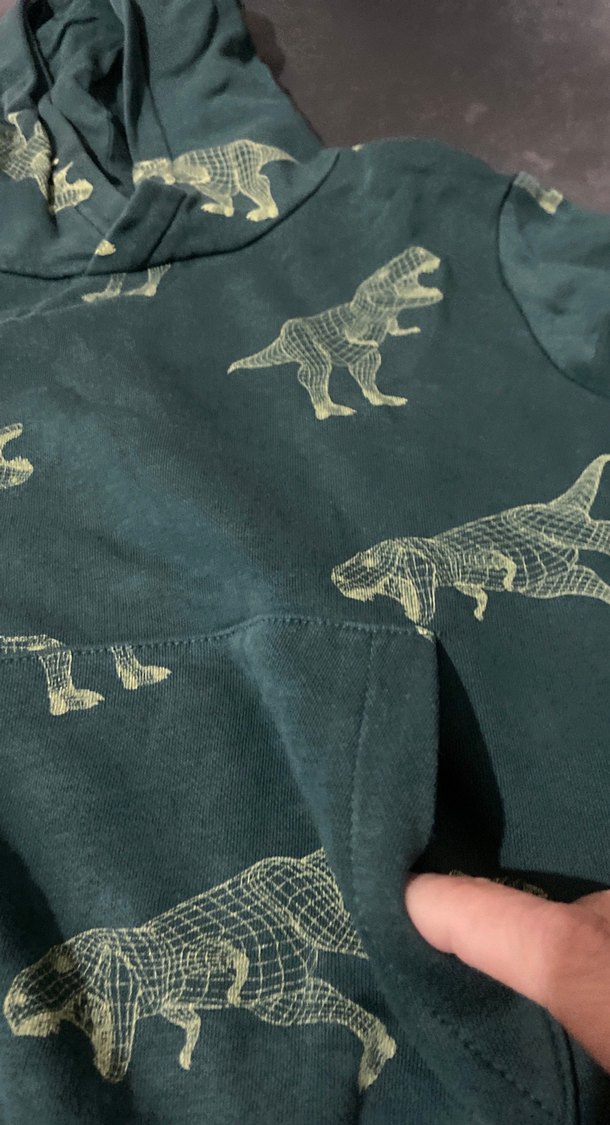 Kapüşonlu Erkek Sweatshirt - Gri Dinazor Desenli - Görsel 2