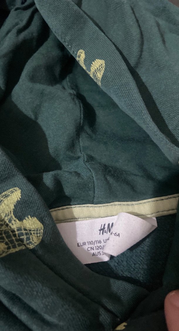 Kapüşonlu Erkek Sweatshirt - Gri Dinazor Desenli - Görsel 3