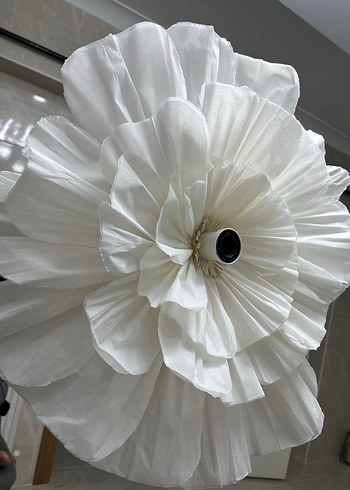 Pinterest avize