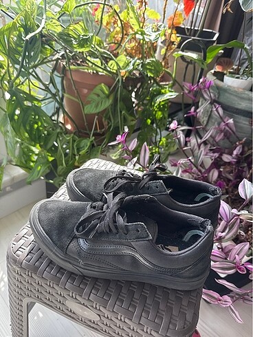 Vans Süet Ayakkabı