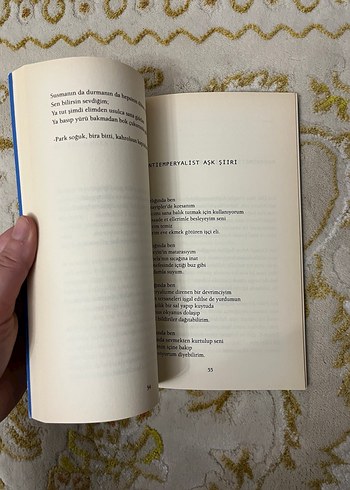 Alengirli Şiirler - Ali Lidar - Görsel 3