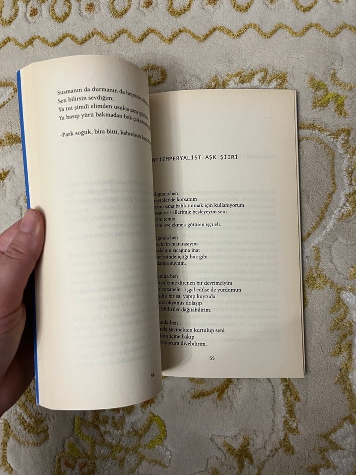 Alengirli Şiirler - Ali Lidar - Görsel 3