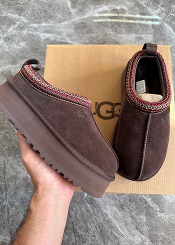 Ugg Tazz Chocolate
