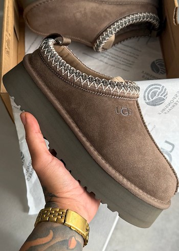 Ugg Tazz Cheddar