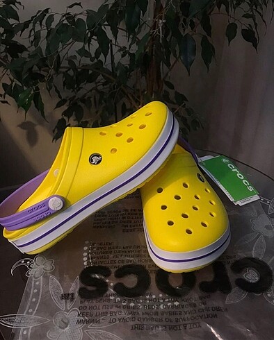 Sarılı morlu crocks terlik