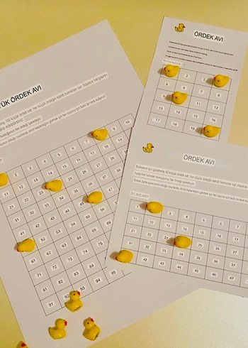 Ördek Bulma Oyunu - Görsel 2