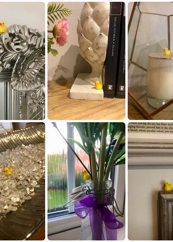 Ördek Bulma Oyunu - Görsel 3