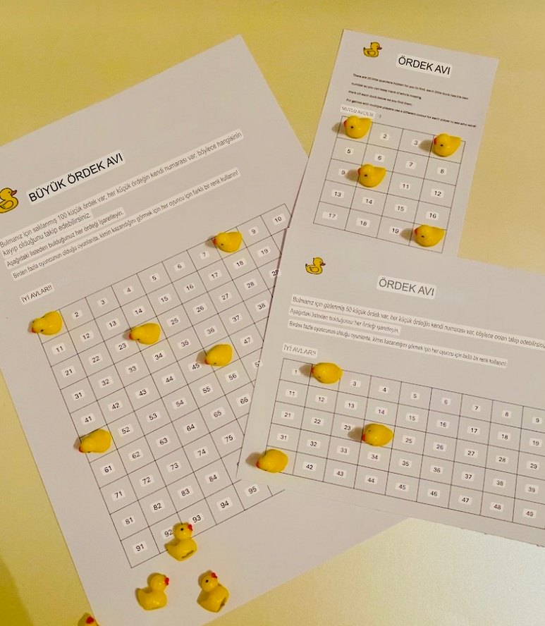 Ördek Bulma Oyunu - Görsel 2