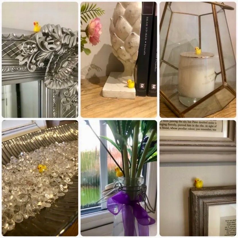 Ördek Bulma Oyunu - Görsel 3