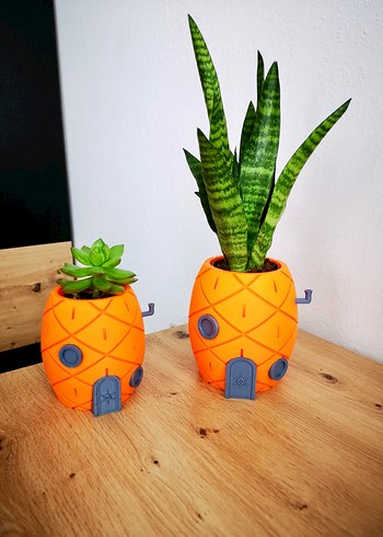 SüngerBob Saksıları - Görsel 3