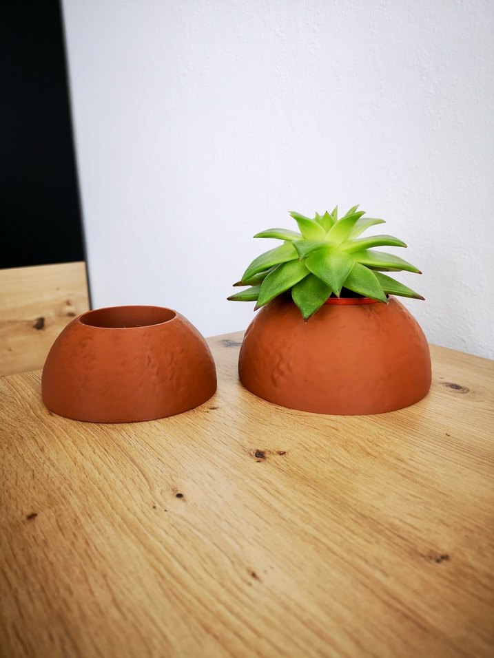 SüngerBob Saksıları - Görsel 4