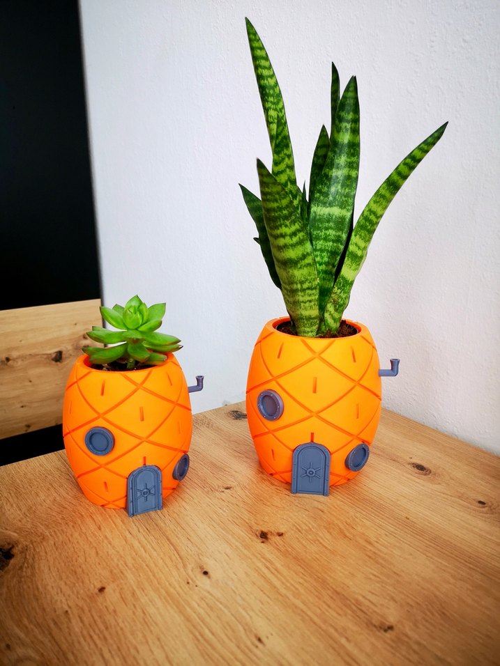 SüngerBob Saksıları - Görsel 3