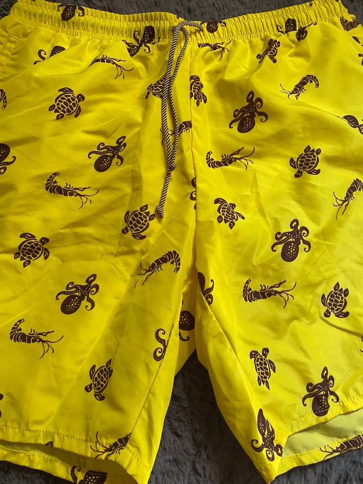 Sarı Desenli Erkek Deniz Şortu - Görsel 2