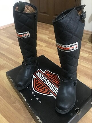 Temiz harley bot