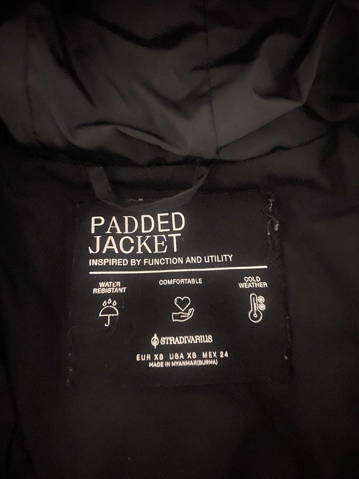 Düğmeli Siyah Kadın Kışlık Mont - Görsel 4