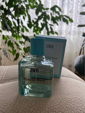 zara mimosa cloud parfüm 100 ml