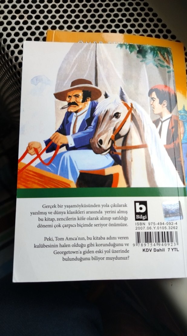 Tom Amca'nın Kulübesi - Çocuk Klasikleri - Görsel 2