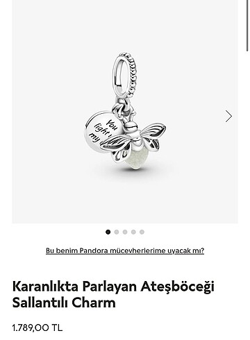 Karanlıkta Parlayan Ateşböceği Charm