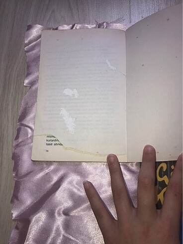 Gümüş kanat ve Vatan yahut silistre - Görsel 7