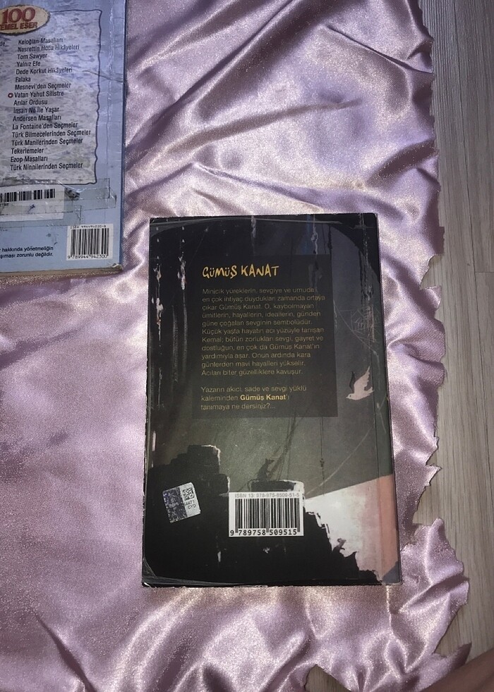 Gümüş kanat ve Vatan yahut silistre - Görsel 4