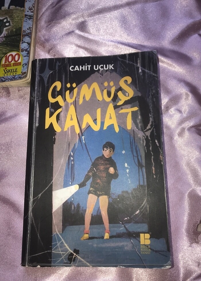 Gümüş kanat ve Vatan yahut silistre - Görsel 2